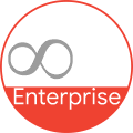 Enterprise Standard